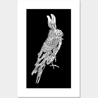 weird bird Posters and Art